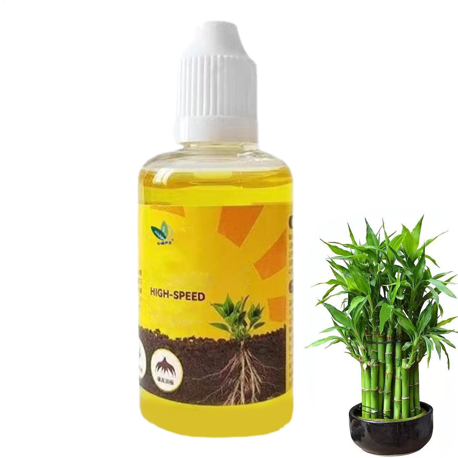 Root Stimulator Liquid - 50ml Plant Wroeten Stimulator Vloeibare Plant