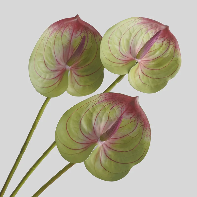 Sphagnum Moss Dry - Gesimuleerde Bloem Woonkamer Huisdecoratie Kunstmatige Plant