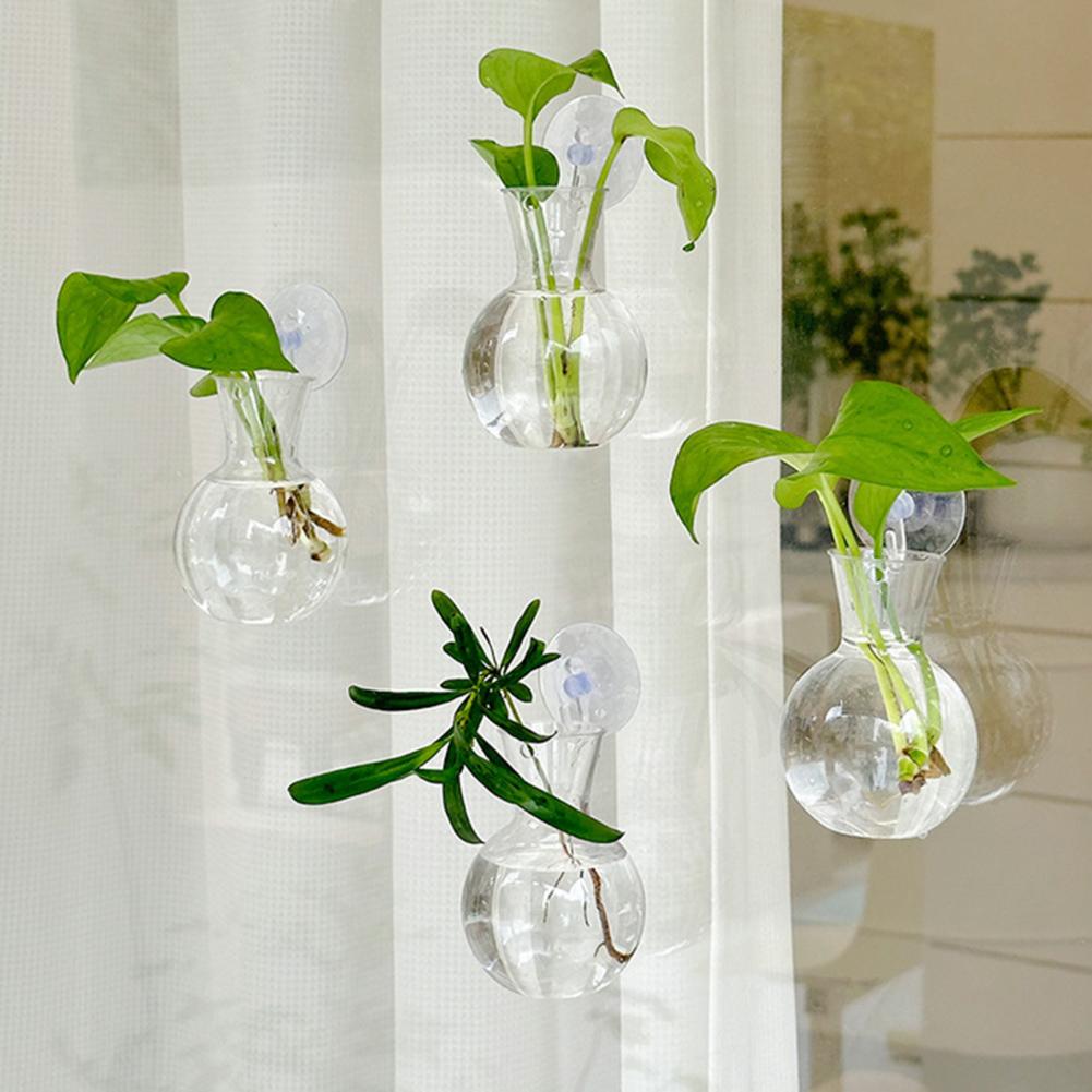 Propagation Station Vase - 1/2/3/4/6/8 Stuks Plantenvoortplantingsbol met Zuignap Transparante