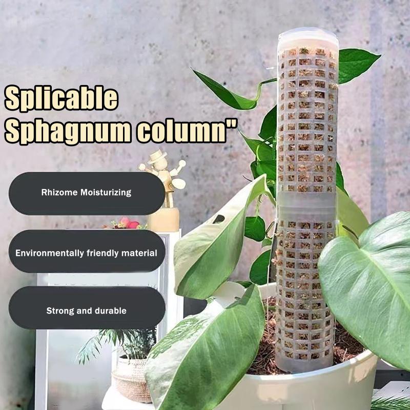 Sphagnum Moss Dry - 6 stuks mosstokken van plastic, plantenstandaard