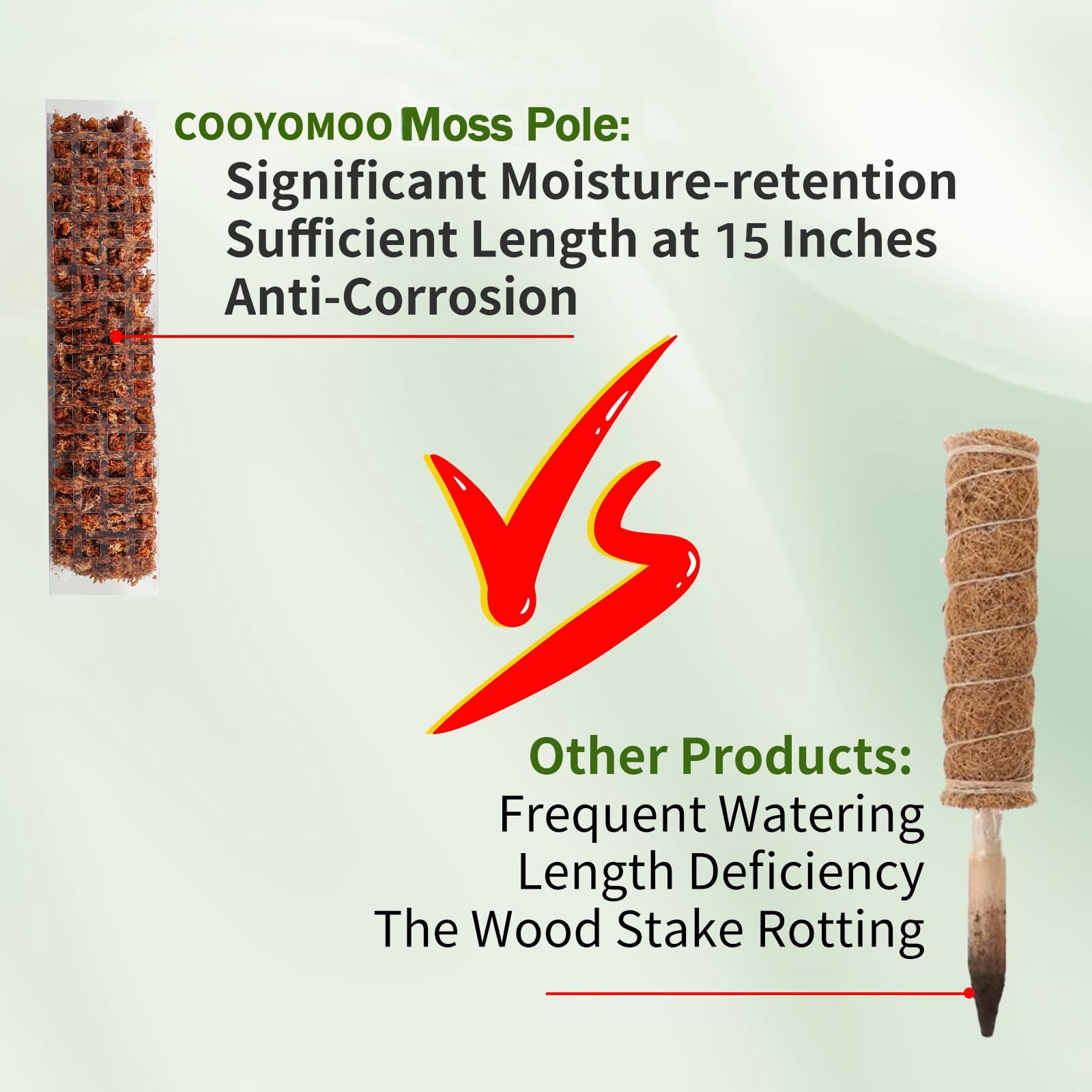 Mosstokken Planten Plantensteu - Sphagnum Moss Dry recensie en prijs