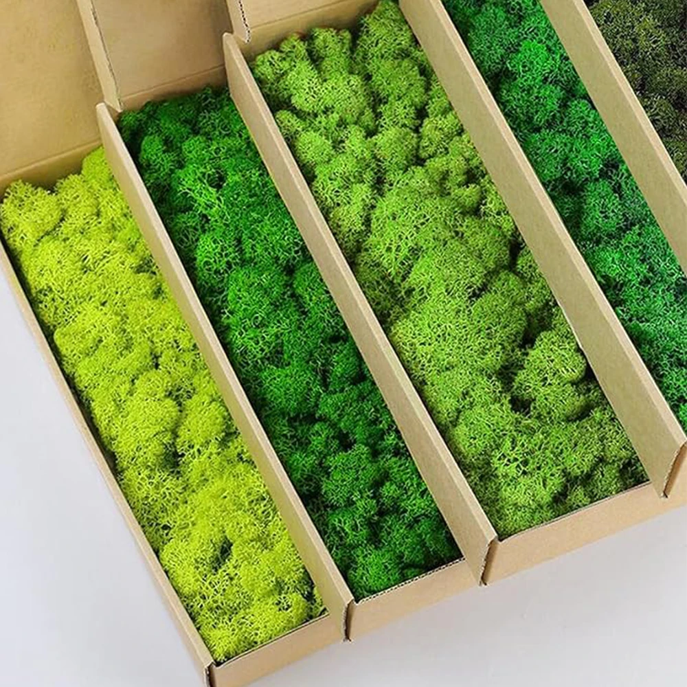 20-200g Kunstmatige Groene Pla - Sphagnum Moss Dry recensie en prijs