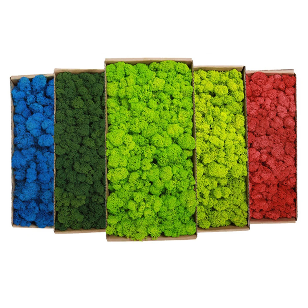 20-200g Kunstmatige Groene Pla - Sphagnum Moss Dry recensie en prijs
