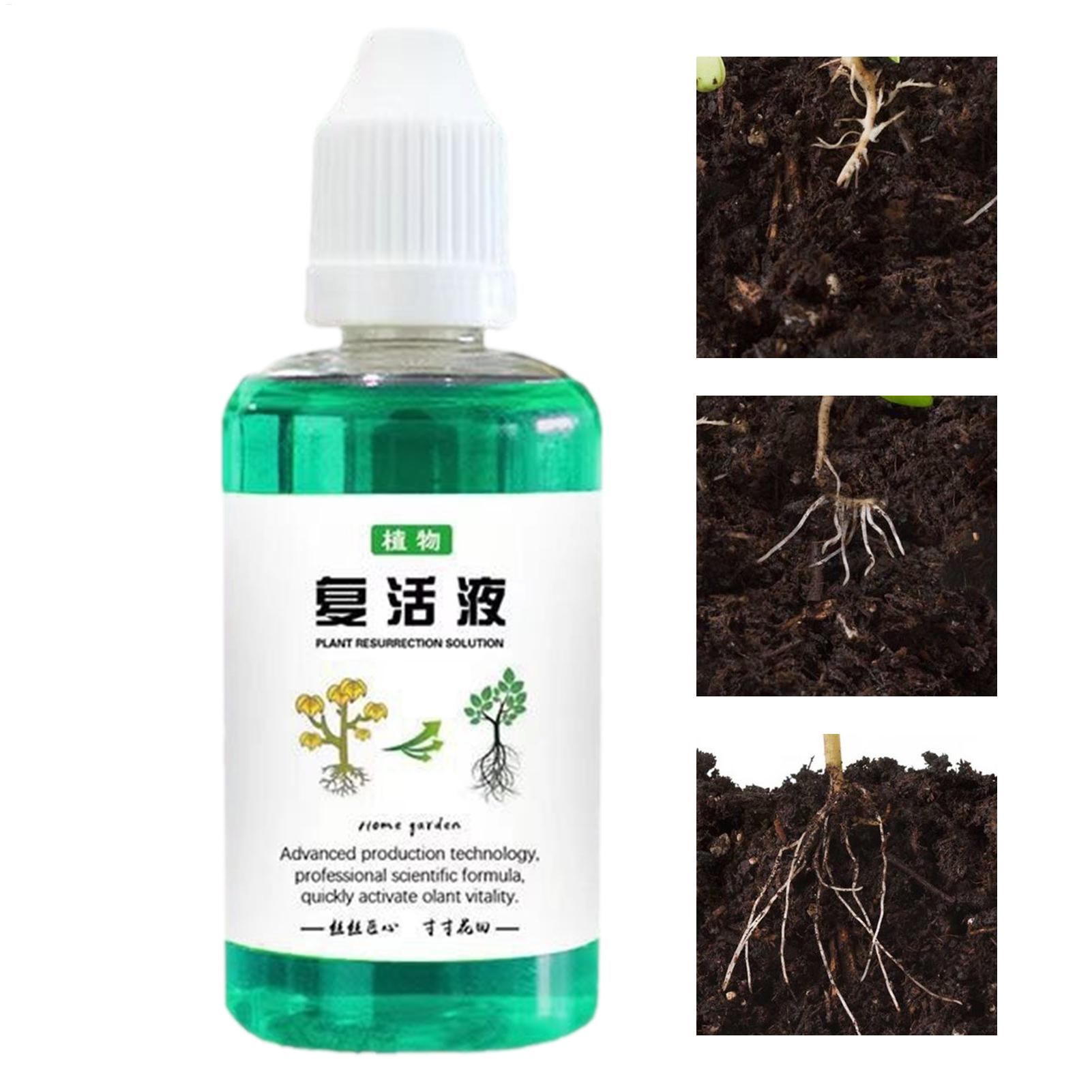50ml Wortelstimulator Plantenh - Root Stimulator Liquid recensie en prijs
