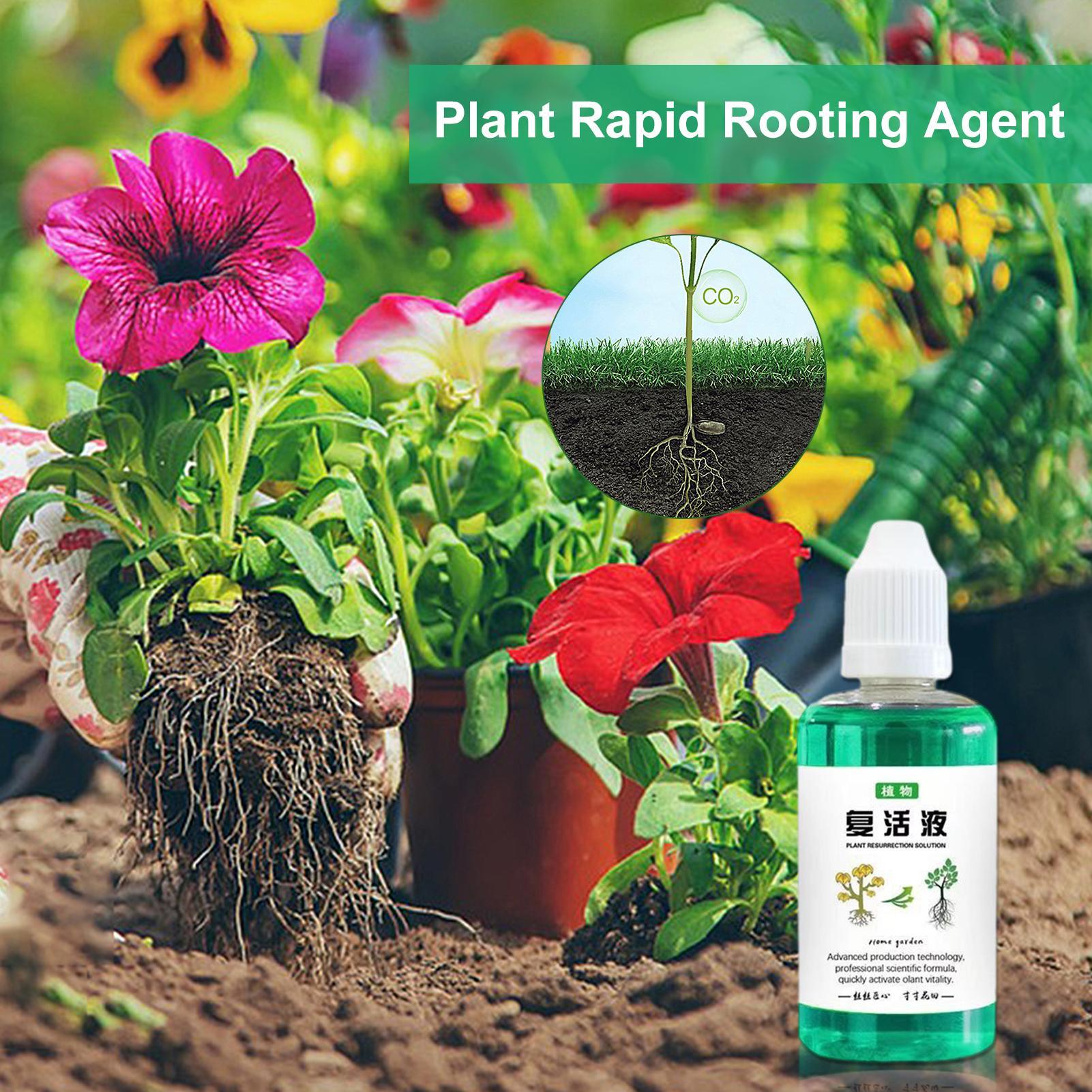 50ml Wortelstimulator Plantenh - Root Stimulator Liquid recensie en prijs