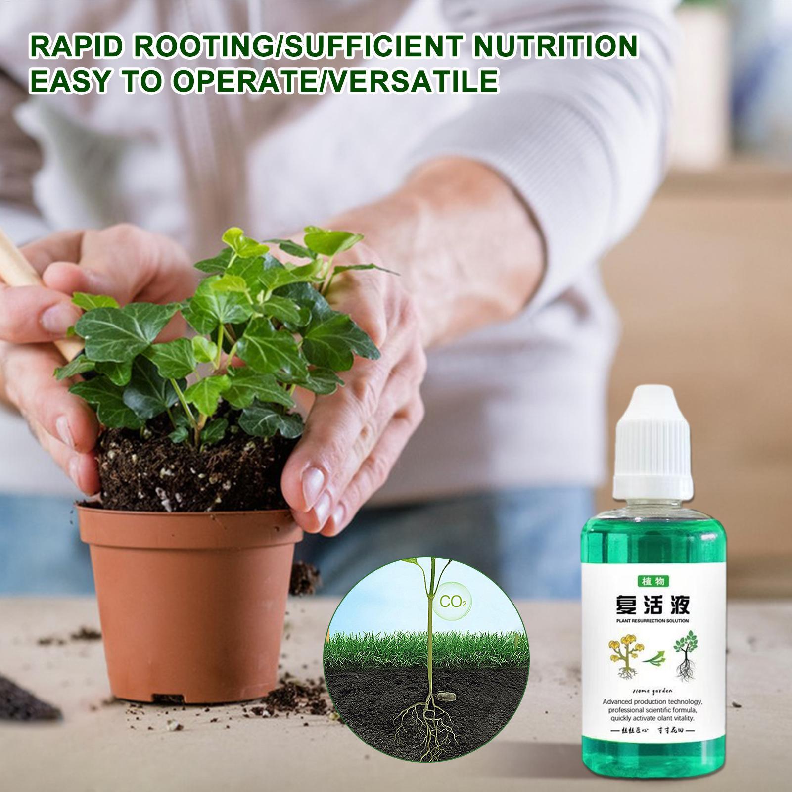 50ml Wortelstimulator Plantenh - Root Stimulator Liquid recensie en prijs