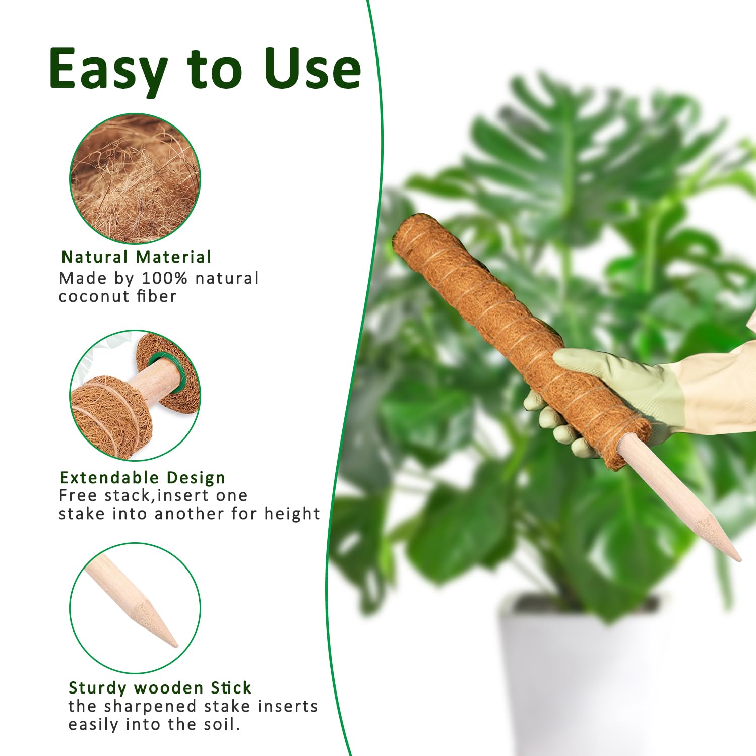 Mosstok 38/43/53CM Monstera Pl - Sphagnum Moss Dry recensie en prijs