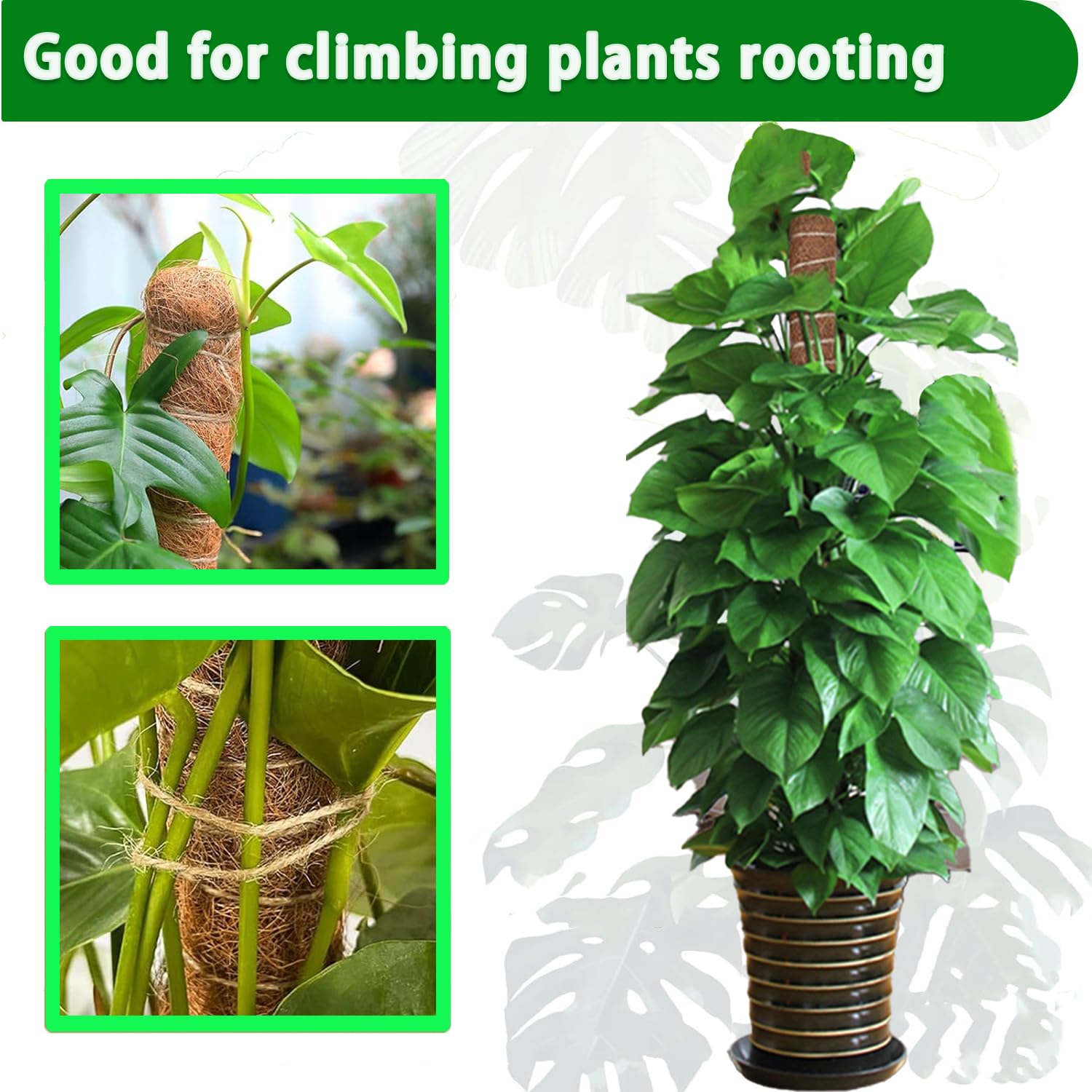 Mosstok 38/43/53CM Monstera Pl - Sphagnum Moss Dry recensie en prijs