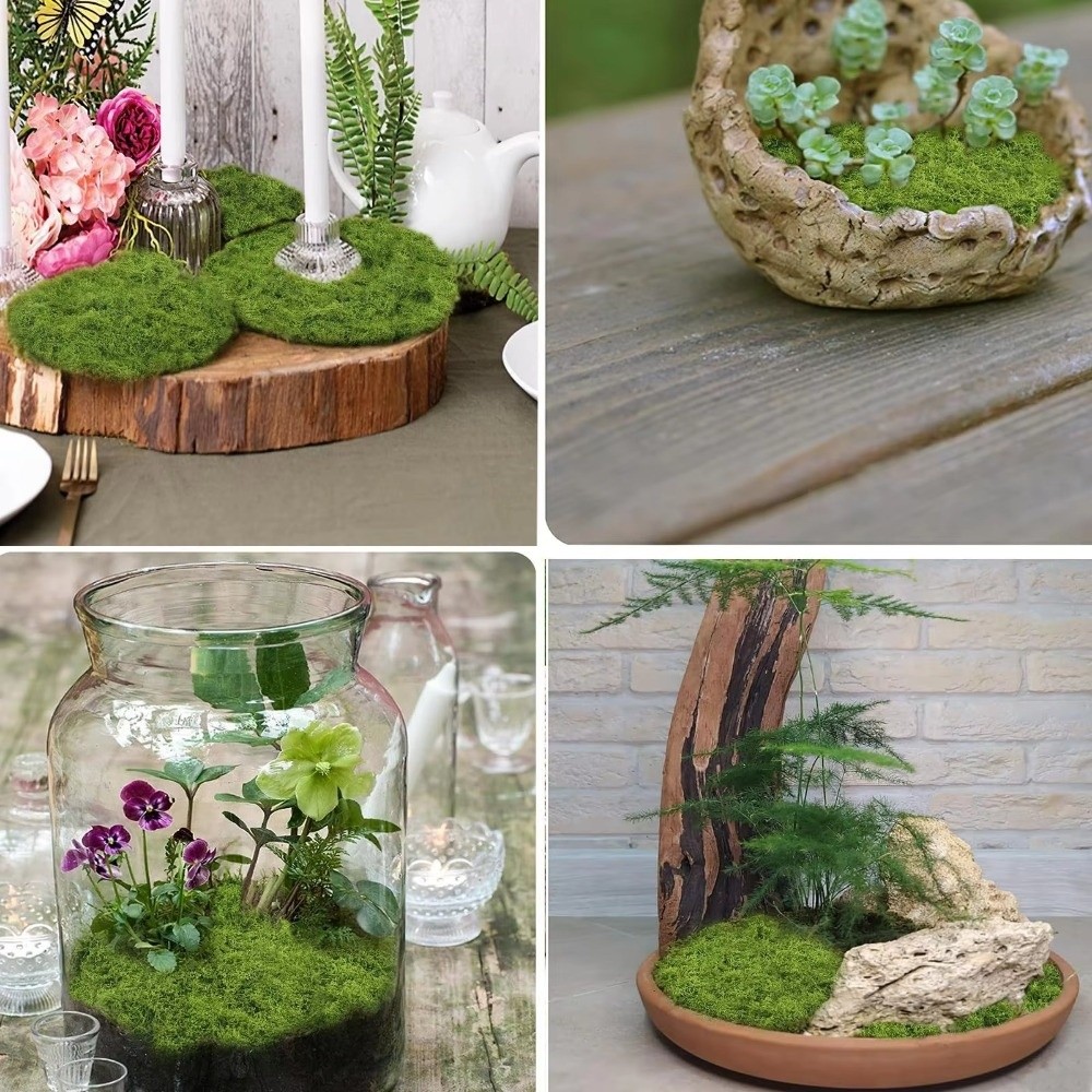 DIY Kunstgras Tapijt Duurzaam  - Sphagnum Moss Dry recensie en prijs