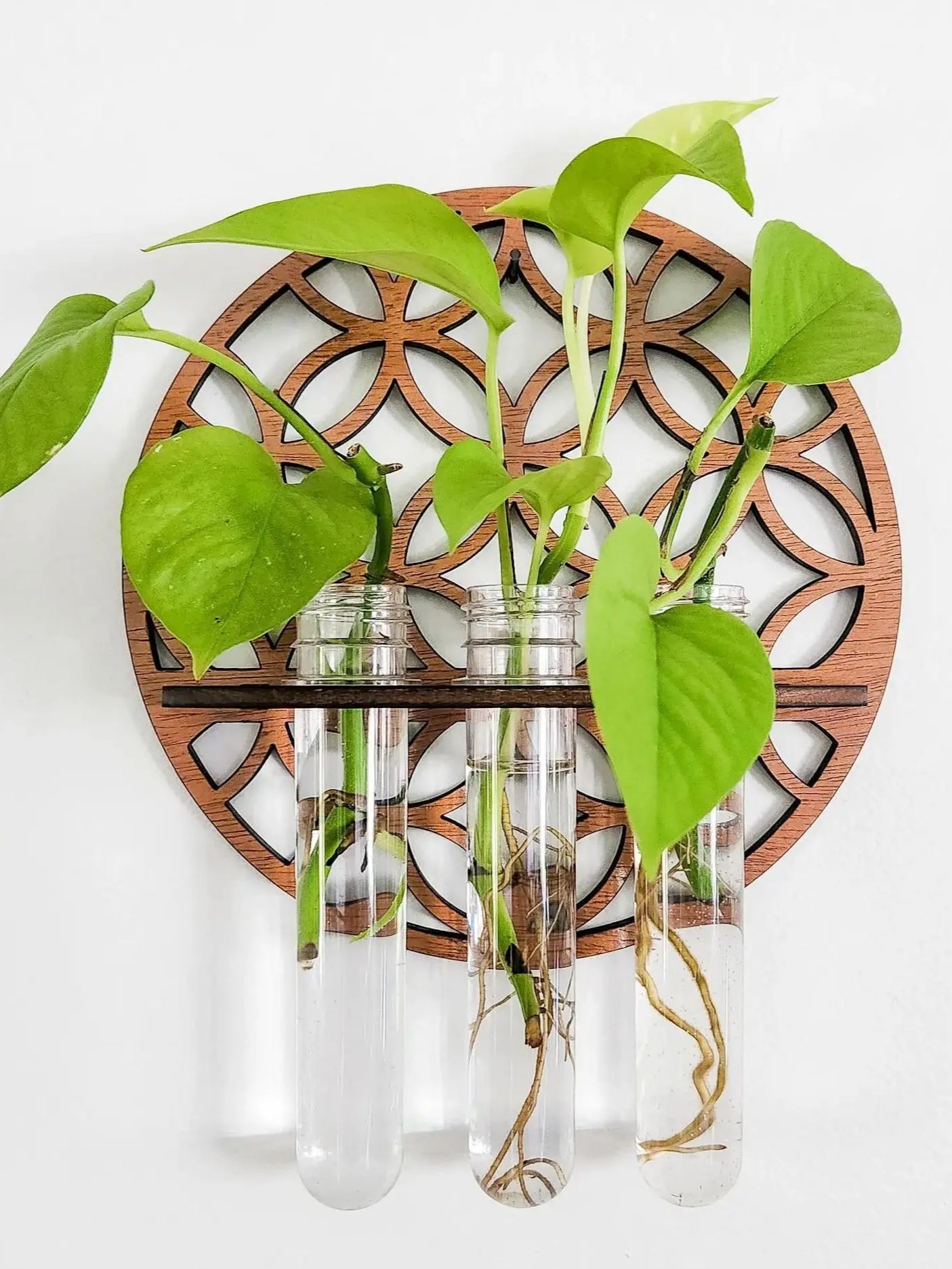 Tuinmuur Plantenbakken Binnen  - Propagation Station Vase recensie en prijs