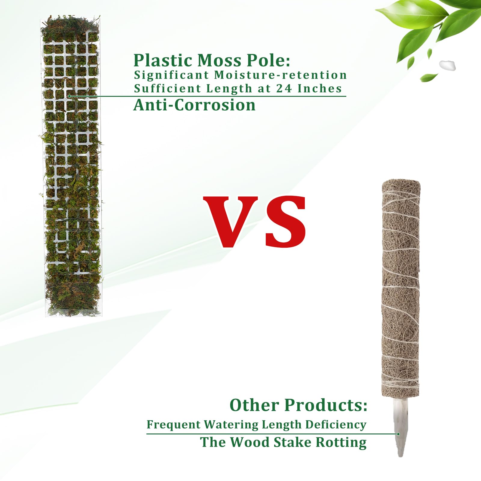 Mospaal Plastic Plant Stand In - Sphagnum Moss Dry recensie en prijs