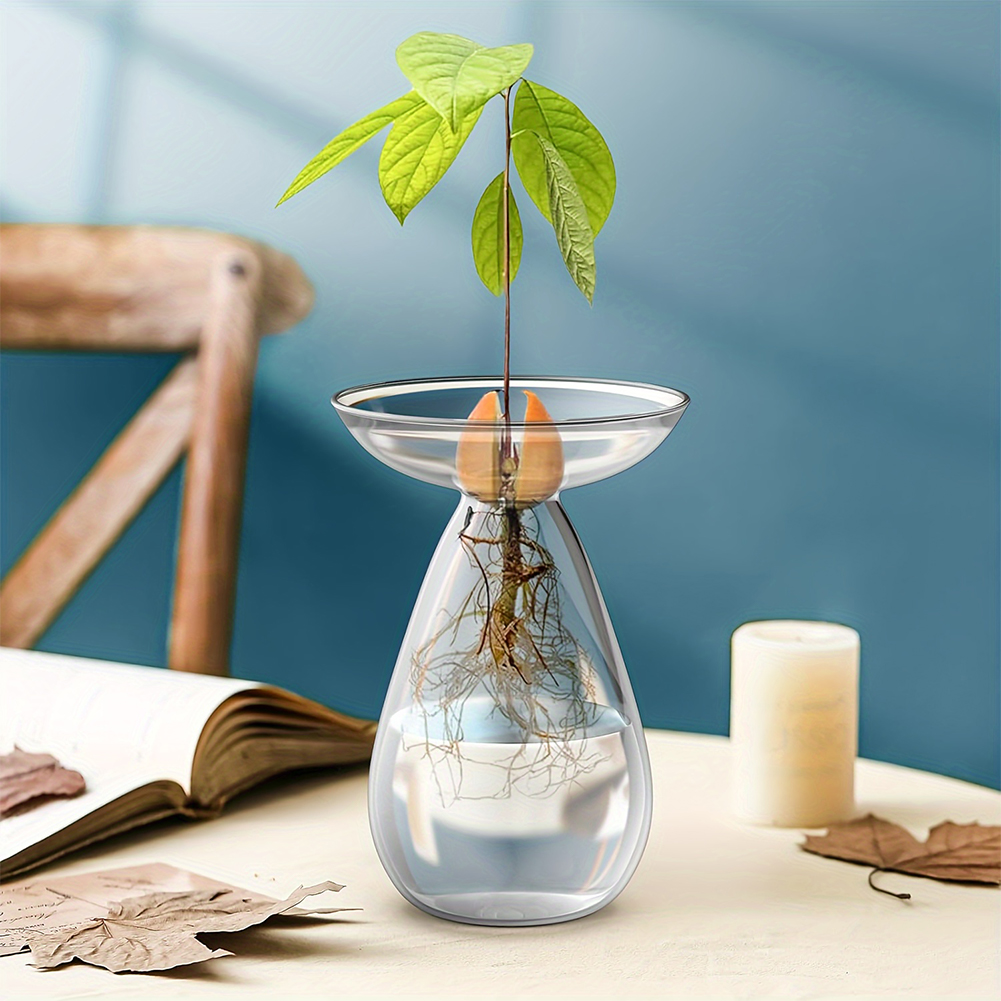 Avocado Zaad Starter Hydroponi - Propagation Station Vase recensie en prijs
