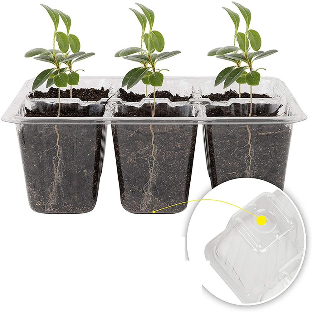 Zaad Starter Trays Met Kweekla - Humidity Dome Kit recensie en prijs