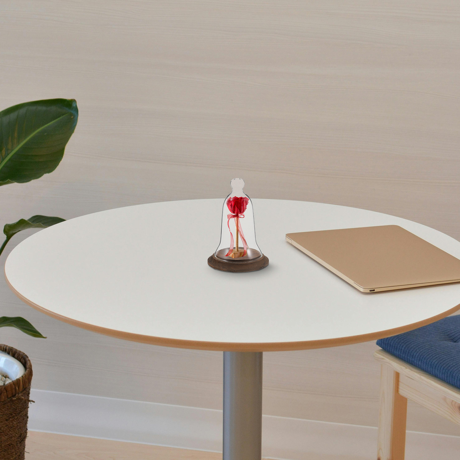 Glazen cloche, hoge glazen dis - Plastic Dome Clear recensie en prijs