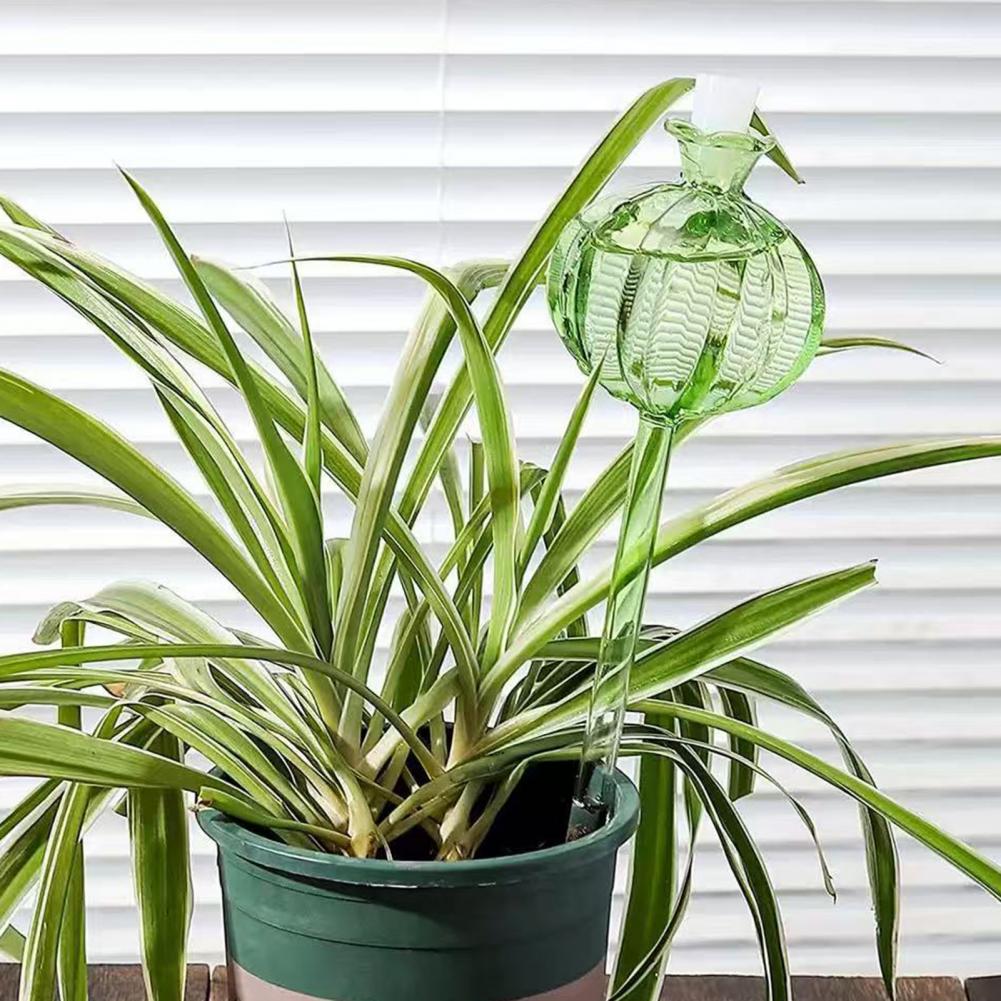 24 Cm Cactus Zelf Watering Bol - Self Watering Insert recensie en prijs