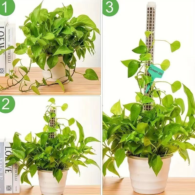 1/2/3 stuks Zelfwatergevende M - Sphagnum Moss Dry recensie en prijs