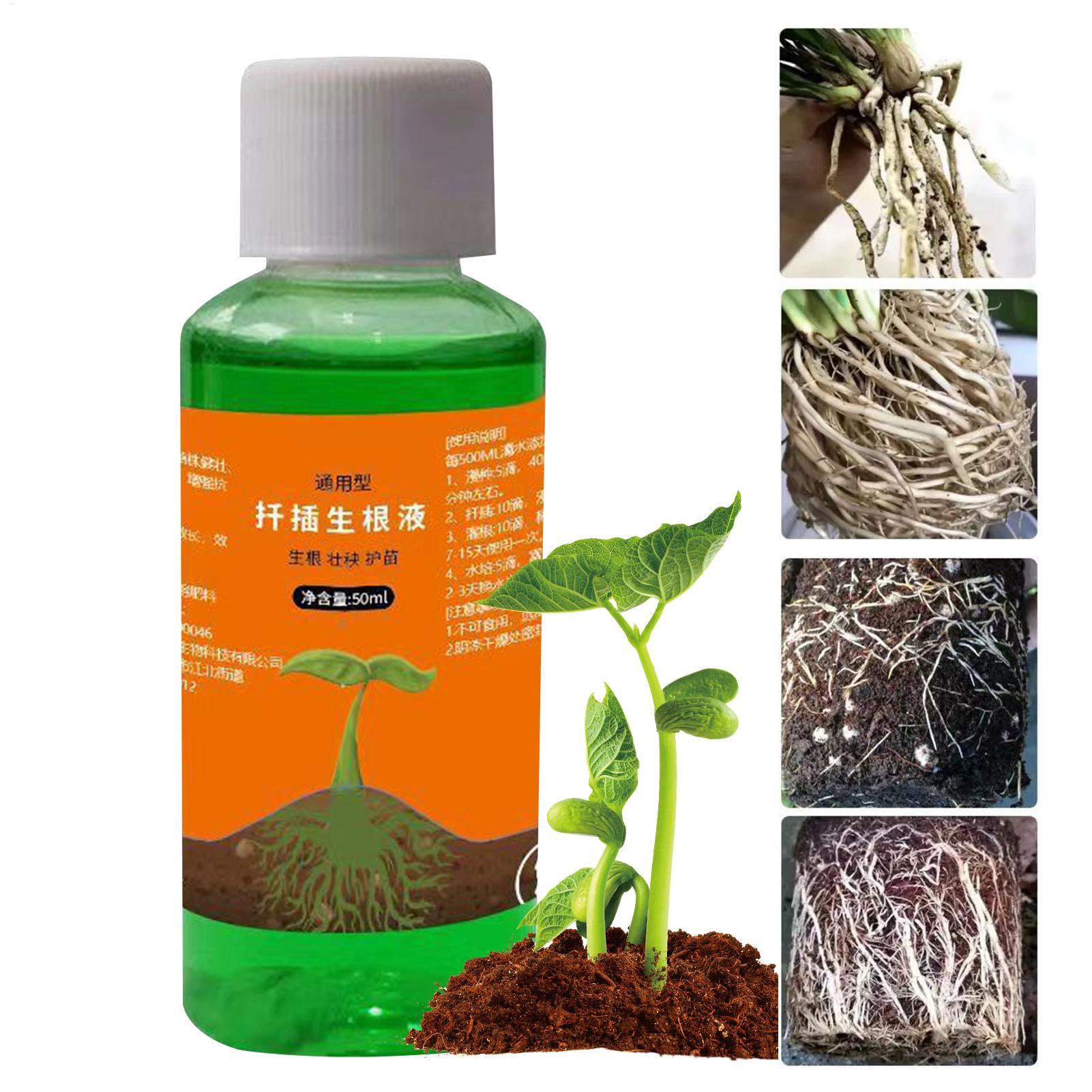50ml Transplantatie Voedingsop - Root Stimulator Liquid recensie en prijs