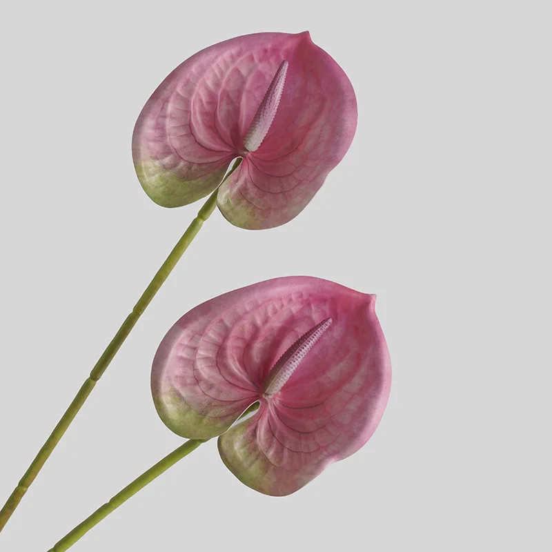 Gesimuleerde Bloem Woonkamer H - Sphagnum Moss Dry recensie en prijs