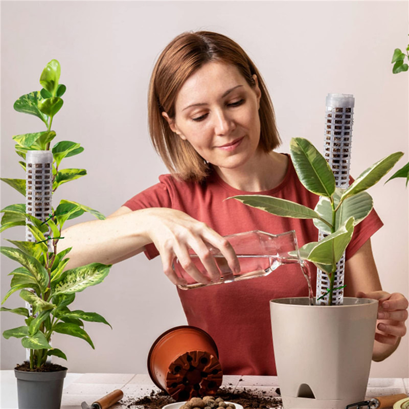 Plantenklimpaal Sphagnummossto - Sphagnum Moss Dry recensie en prijs