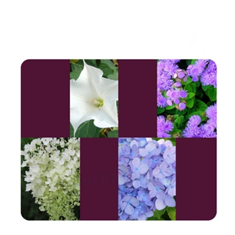 2 zakken Wroeten Hormoon Poede - Rooting Hormone Powder recensie en prijs