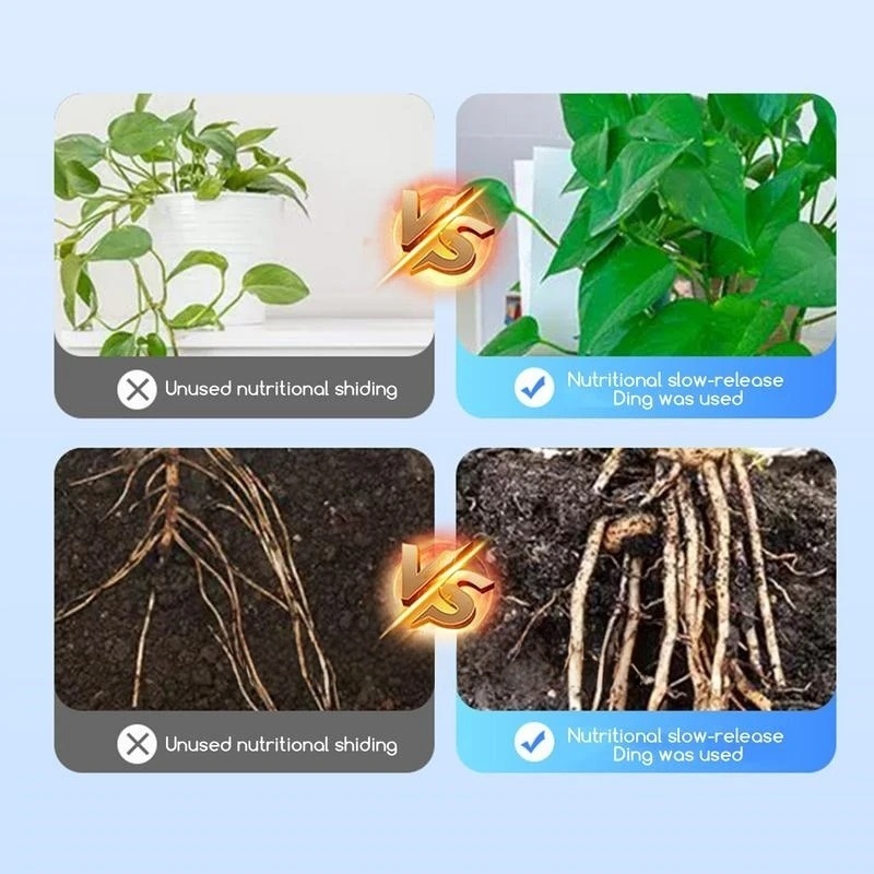 2 zakken Wroeten Hormoon Poede - Rooting Hormone Powder recensie en prijs