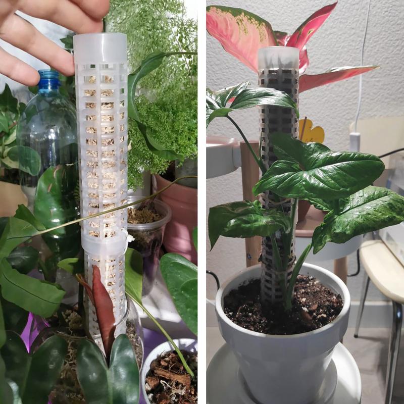 6 stuks mosstokken van plastic - Sphagnum Moss Dry recensie en prijs
