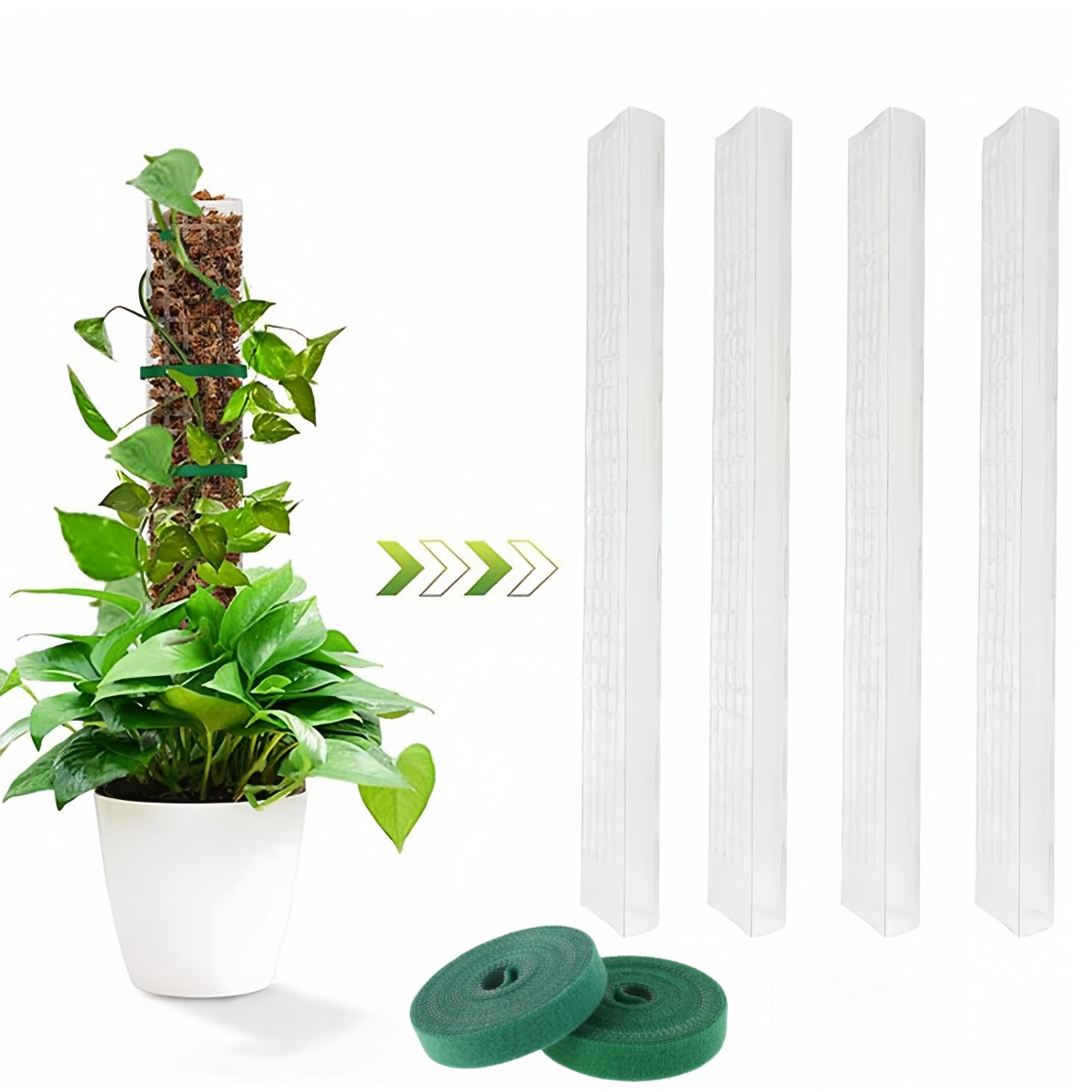 2/4/6 Stuks Mospaal Plastic Pl - Sphagnum Moss Dry recensie en prijs