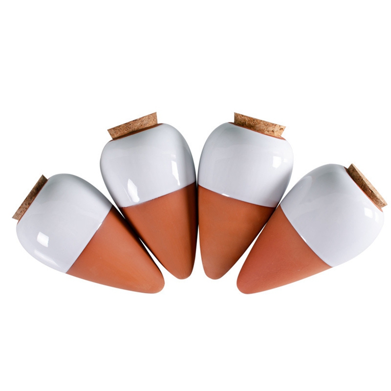 Plant Drinkbal, Terracotta Gie - Self Watering Insert recensie en prijs